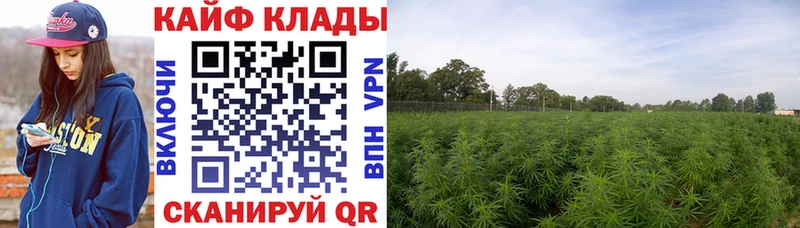 Какие есть наркотики Белая Калитва Alpha PVP  Меф 