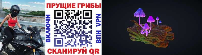 площадка формула  Белая Калитва  Псилоцибиновые грибы MAGIC MUSHROOMS 